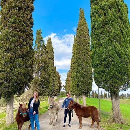 Farm stay Agriturismo Pieve Sprenna Buonconvento