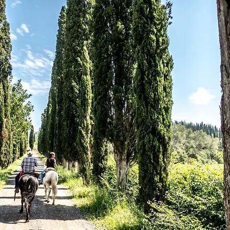 Pieve Sprenna Alloggio per agriturismo