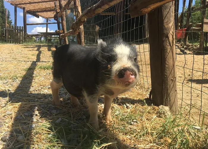 مزرعة للإقامة Pieve Sprenna بونكونفينتو